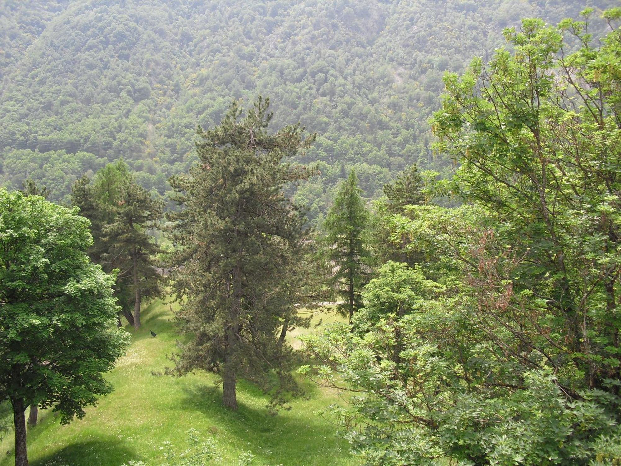 Chalet Monte Nebius Vinadio Dış mekan fotoğraf