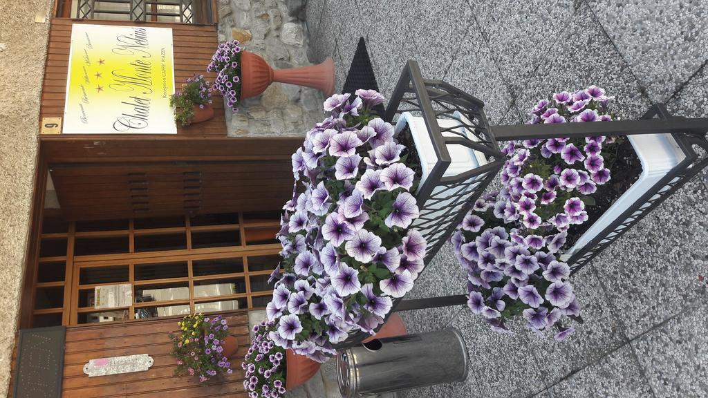 Chalet Monte Nebius Vinadio Dış mekan fotoğraf